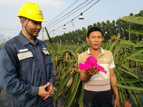 广东茂名有限公司电话联系与服务体验