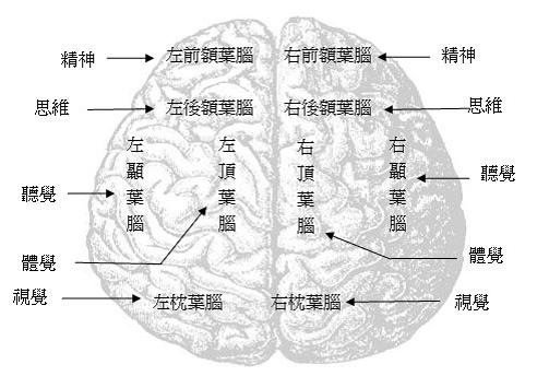 脑心清治疗方案的疗程规划，探索最佳治疗周期