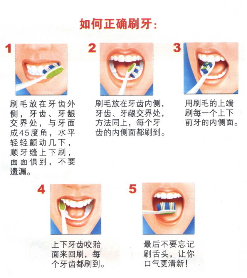 广东刷牙杯有限公司，引领口腔护理新篇章